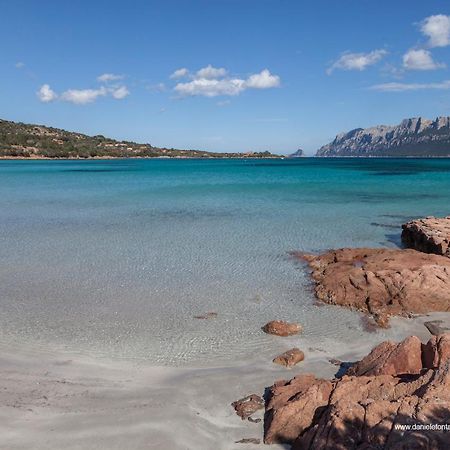 Aria Di Vacanza - Gelsi Olbia Eksteriør bilde