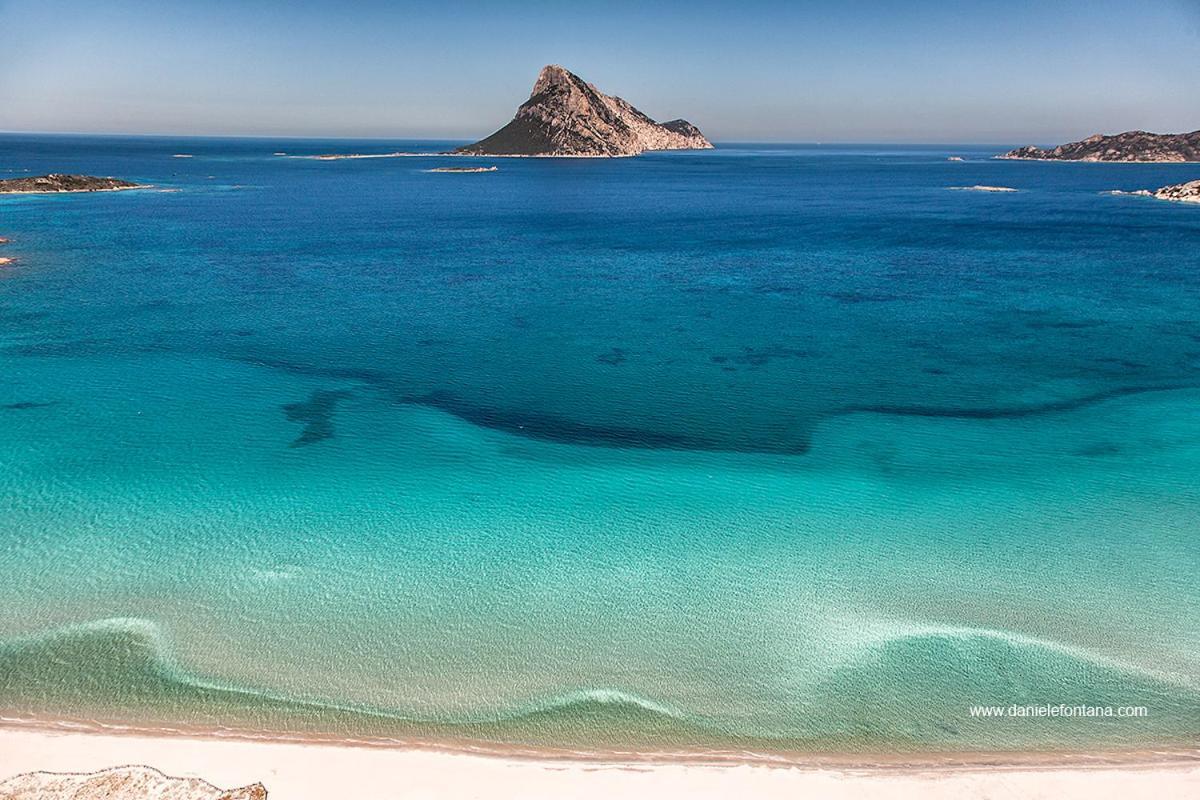 Aria Di Vacanza - Gelsi Olbia Eksteriør bilde