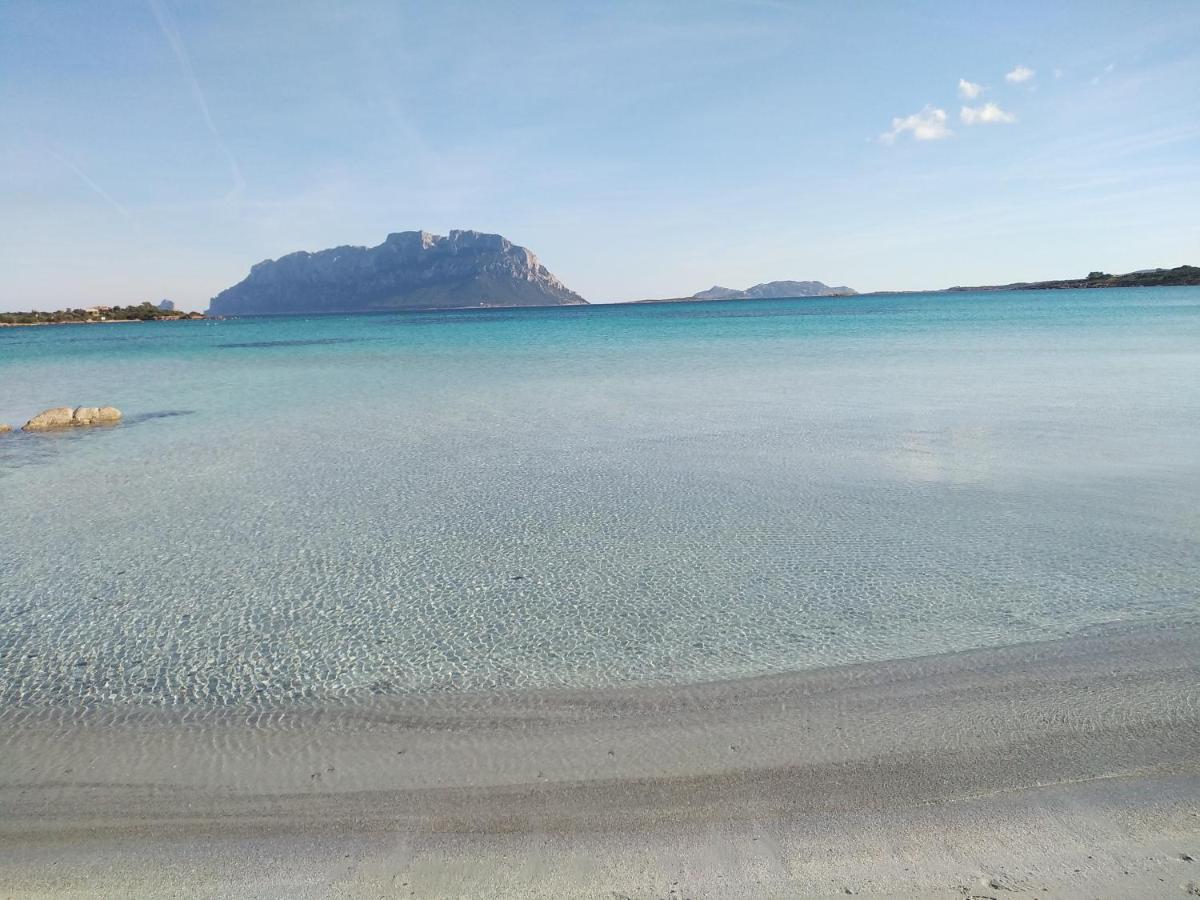 Aria Di Vacanza - Gelsi Olbia Eksteriør bilde