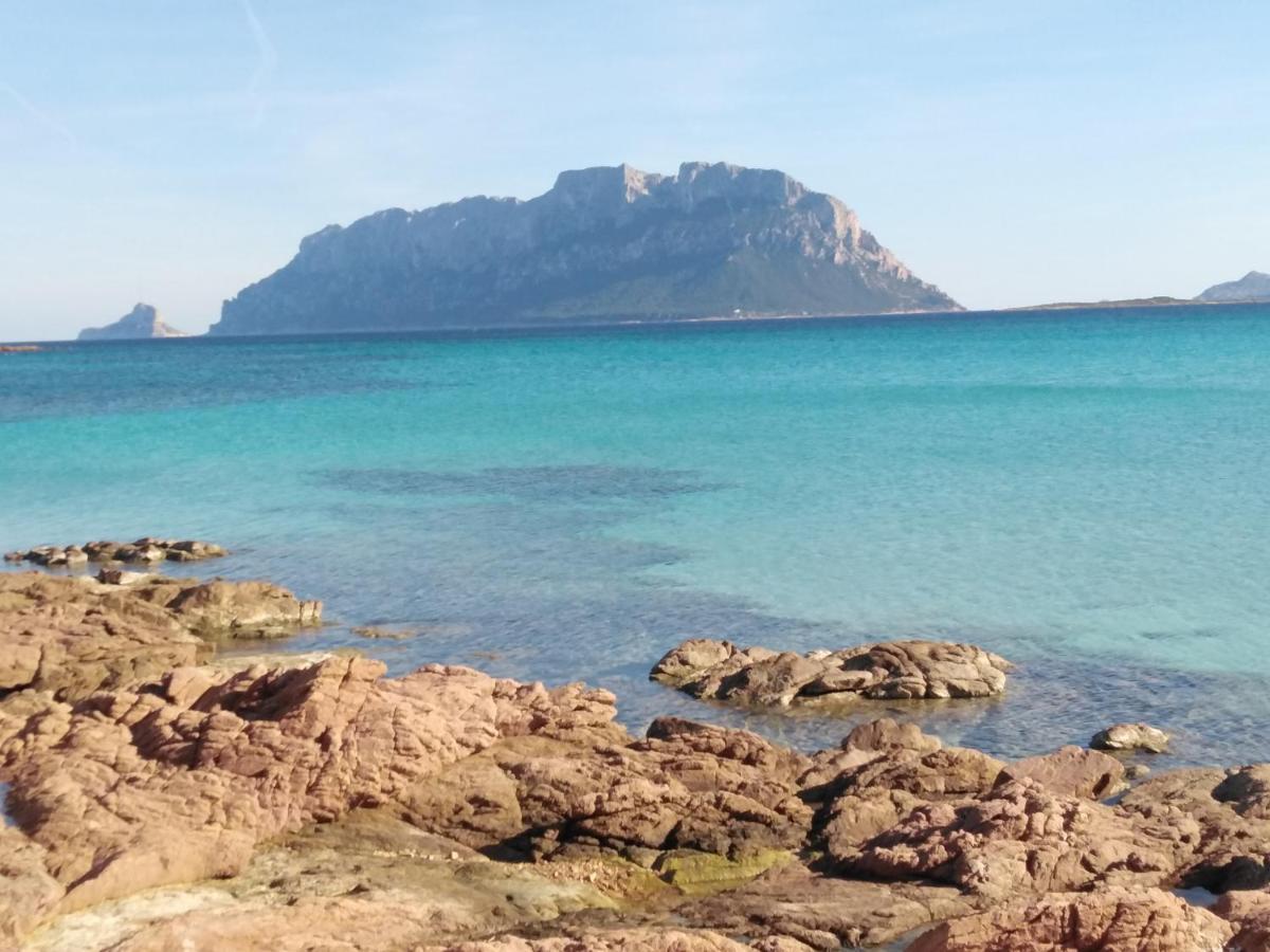 Aria Di Vacanza - Gelsi Olbia Eksteriør bilde